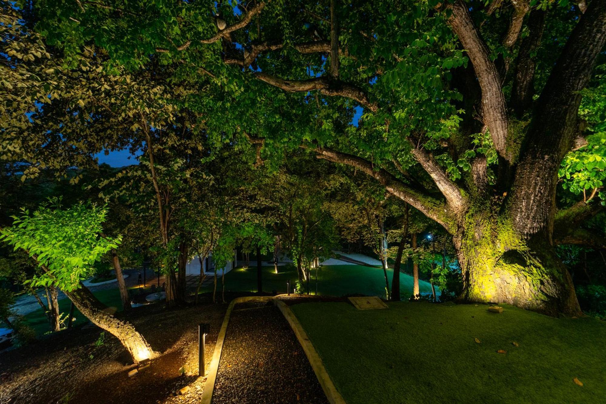 Epic Tamarindo Boutique Hotel Villarreal Exterior photo